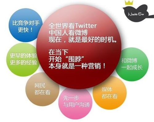 菜鸟时代 互联网世界中的网络品牌营销与销售新解